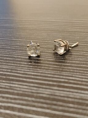Stella Rose Cubic Zirconia Stud Earrings in Silver Tone